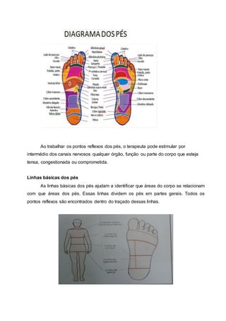 Ao trabalhar os pontos reflexos dos pés, o terapeuta pode estimular por
intermédio dos canais nervosos qualquer órgão, função ou parte do corpo que esteja
tensa, congestionada ou comprometida.
Linhas básicas dos pés
As linhas básicas dos pés ajudam a identificar que áreas do corpo se relacionam
com que áreas dos pés. Essas linhas dividem os pés em partes gerais. Todos os
pontos reflexos são encontrados dentro do traçado dessas linhas.
 