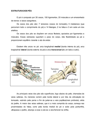 ESTRUTURA DOS PÉS
O pé é composto por 26 ossos, 100 ligamentos, 20 músculos e um emaranhado
de nervos e vasos sanguíneos.
Os ossos dos pés são: 7 tarsianos (ossos do tornozelo), 5 metatarsos (que
percorrem todo o comprimento do pé) e 14 falanges, 2 no hálux e 3 em cada um dos
artelhos.
Os ossos dos pés se dispõem em arcos flexíveis, apoiados por ligamentos e
músculos. Essas estruturas suportam o peso do corpo, dão flexibilidade ao pé e
proporcionam equilíbrio durante o ato de andar.
Existem três arcos no pé: arco longitudinal medial (borda interna do pé), arco
longitudinal lateral (borda externa do pé) e arco transversal (de um lado a outro).
As principais veias dos pés são superficiais, logo abaixo da pele, chamadas de
veias safenas. As menores correm pela borda lateral e por trás da articulação do
tornozelo, subindo pela perna a fim de juntar-se a veia poplítea(mais profunda), atrás
do joelho. A maior das veias safenas, que é a mais comprida do corpo, começa nas
proximidades do hálux, corre pela borda medial do pé e sobe pela panturrilha,
ultrapassa o joelho, alcança a coxa e une-se a veia femoral na virilha.
 
