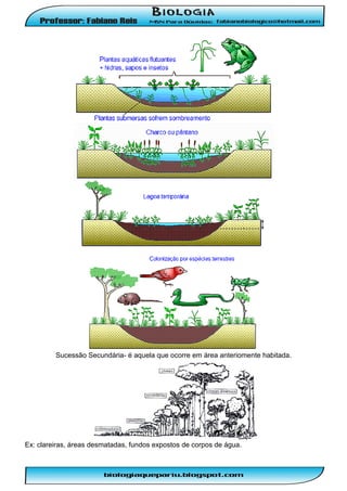 Sucessão Secundária- é aquela que ocorre em área anteriomente habitada.

Ex: clareiras, áreas desmatadas, fundos expostos de corpos de água.

 