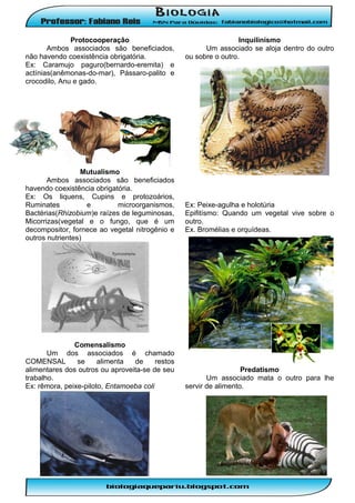 Protocooperação
Ambos associados são beneficiados,
não havendo coexistência obrigatória.
Ex: Caramujo paguro(bernardo-eremita) e
actínias(anêmonas-do-mar), Pássaro-palito e
crocodilo, Anu e gado.

Mutualismo
Ambos associados são beneficiados
havendo coexistência obrigatória.
Ex: Os liquens, Cupins e protozoários,
Ruminates
e
microorganismos,
Bactérias(Rhizobium)e raízes de leguminosas,
Micorrizas(vegetal e o fungo, que é um
decompositor, fornece ao vegetal nitrogênio e
outros nutrientes)

Comensalismo
Um dos associados é chamado
COMENSAL
se
alimenta
de
restos
alimentares dos outros ou aproveita-se de seu
trabalho.
Ex: rêmora, peixe-piloto, Entamoeba coli

Inquilinismo
Um associado se aloja dentro do outro
ou sobre o outro.

Ex: Peixe-agulha e holotúria
Epifitísmo: Quando um vegetal vive sobre o
outro.
Ex. Bromélias e orquídeas.

Predatismo
Um associado mata o outro para lhe
servir de alimento.

 