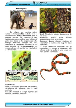 Esclavagismo
Um associado torno outro escravo.

Ex: pulgões são mantidos cativos
dentro do formigueiro.Não obstante, pode-se
considerar uma relação harmônica, pois os
pulgões também são beneficiados pela
facilidade de encontrar alimentos e até mesmo
pelos bons tratos a eles dispensados pelas
formigas (transporte, proteção, etc). Essa
associação é considerada harmônica e um
caso especial de protocooperação por
muitos autores, pois a união não é obrigatória
à sobrevivência.

NÍQUEL E NÁUSEA – Fernando Gonsáles

Notas Finais:
Nota1: Camuflagem: Quando o ser apresenta
semelhança de coloração com o meio
ambiente.
Ex: gato maracajá e a onça, lagartos (por
exemplo, camaleão),urso polar.

Nota2- Mimetismo: existem basicamente de
dois tipos:
-Müllerianoquando
existe
extrema
semelhança de forma e coloração.
-Batesiano: Quando algumas espécies se
assemelham a outras para afugentar seus
predadores.
Ex: cobra falsa-coral, mariposas que se
assemelham a vespas, e mariposas cujo
colorido lembra a feição de uma coruja com
olhos grandes e brilhantes.

 