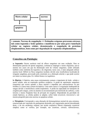 Conceitos em Patologia:
a- Isquemia: Ocorre ausência total de afluxo sanguíneo em uma oxidação. Para as
diminuições parciais do aporte sanguíneo, costuma-se empregar o termo oligoemia, usa-se
anemia nos casos em que ha diminuição total do volume sanguíneo, sendo utilizada
também como sinônima da isquemia e da oligoemia; nesse caso, é mais adequado utilizar
anemia local. Déficit no fluxo sanguíneo tecidual, devido uma insuficiência localizada de
irrigação sangüínea, provocado pela constrição ou a obstrução arterial, e que pode ocorrer
em maior ou menor grau. Ex: infarto branco ou isquêmico.
b- Hipóxia: A hipóxia, uma causa extremamente comum e importante de lesão celular e
morte celular, atua na respiração aeróbica oxidativa. A perda de suprimento sanguíneo
(isquemia) que ocorre quando o fluxo arterial é impedido por arteriosclerose ou por
trombos é a causa mais comum de hipóxia. Uma outra causa é a oxigenação inadequada de
sangue devido a insuficiência cardio-respiratória. A perda da capacidade de transporte de
oxigênio pelo sangue, como na anemia ou envenenamento por monóxido de carbono, e uma
terceira e menos freqüente base de privação de oxigênio. Dependendo da gravidade do
estado hipóxico, as células podem se adaptar, sofrer lesão reversível, irreversível e até
mesmo progredir para uma necrose ou apoptose celular.
c- Metaplasia: Corresponde a uma alteração da histoarquitetura normal de uma estrutura,
caracterizada por reposição do parênquima destruído, por regeneração parcial desordenada
deste, e do seu arcabouço original, por tecido conjuntivo fibroso (reparação cicatricial
simples) como se verifica, por exemplo, nas cicatrizes, cirroses, nefroscleroses,
12
Morte celular necrose
apoptose
+ comum: Necrose de coagulação => Estímulos exógenos provocam estresses,
tais como isquemia e lesão química e manifesta-se por uma grave tumefação
celular ou ruptura celular, desnaturação e coagulação de proteínas
citoplasmáticas, bem como por degradação de organelas citoplasmáticas.
 