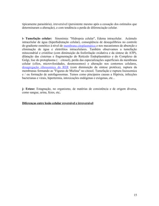 tipicamente parasitária), irreversível (persistente mesmo após a cessação dos estímulos que
determinaram a alteração), e com tendência a perda de diferenciação celular.
i- Tumefação celular: Sinonímia: "Hidropsia celular", Edema intracelular. Acúmulo
intracelular de água (hiperhidratação celular), conseqüência de desequilíbrios no controle
do gradiente osmótico à nível de membrana citoplasmática e nos mecanismos de absorção e
eliminação de água e eletrólitos intracelulares. Também observamos a tumefação
mitocondrial e cristólise (com diminuição da fosforilação oxidativa e da síntese de ATP),
dilatação das cisternas e fragmentação do Retículo Endoplasmático e do Complexo de
Golgi, lise do protoplasma ( citosol), perda das especializações superficiais da membrana
celular (cílios, microvilosidades, desmossomos) e alteração nos contornos celulares,
desagregação ribossomica do RER (com diminuição da síntese protéica), ruptura da
membranas formando as "Figuras de Mielina" no citosol. Tumefação e ruptura lisossomica
e / ou formação de autofagossomas. Temos como pincipaios causas a Hipóxia, infecções
bacterianas e virais, hipertermia, intoxicações endógenas e exógenas, etc...
j- Estase: Estagnação, no organismo, de matérias de consistência e de origem diversa,
como sangue, urina, fezes, etc;
Diferenças entre lesão celular reversível e irreversível
15
 