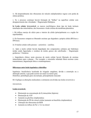 iv. Há desprendimento dos ribossomos do retículo endoplasmático rugoso com perda da
síntese protéica.
v. Se o processo continuar haverá formação de “bolhas” na superfície celular com
desaparecimento das vilosidades = Degeneração Hidrópica.
b) Lesão celular irreversível: os marcos morfológicos deste tipo de lesão incluem
tumefação das mitocôndrias, dos lisossomos e lesão extensa da membrana plasmática.
i. Há influxo maciço de cálcio para o interior da célula (principalmente se a região for
reperfundida).
ii. Os lisossomos rompem-se liberando enzimas que degradam a própria célula (RNAses e
DNAses).
iii. O núcleo celular sofre picnose – cariorréxis – cariólise.
iv. Após a morte celular haverá degradação dos componentes celulares por hidrolases
ácidas sendo fagocitados e resíduos de ácidos graxos são calcificados – Degeneração
gordurosa = Esteatose.
v. Importância clínica: neste processo de morte celular haverá liberação de enzimas
intracelulares para o plasma – Por exemplo: o miocárdio infartado libera enzimas como
transaminases, degeneração lática e creatinoquinases.
Diferenças entre lesão isquêmica e distrófica
Isquêmica: Insuficiência localizada de irrigação sangüínea, devida a constrição ou a
obstrução arterial, e que pode ocorrer em maior ou menor grau.
Distrófica: perturbação grave da nutrição, principalmente muscular
04- Explique as alterações moleculares e estruturais envolvidas nas lesões reversíveis e
irreversíveis.
Lesão reversível:
• Diminuição na concentração de O2 intracelular (hipóxia)
• Diminuição de ATP
• Aumento na glicólise citoplasmática
• Diminuição do PH do citosol celular (aumento na basofolia citoplasmática)
• Liberação dos ribossomos do RER
• Aumento no influxo de Na+
e Ca+
no citosol
17
 