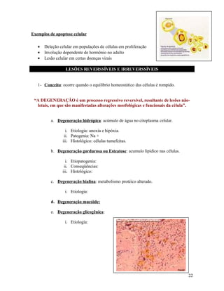 Exemplos de apoptose celular
• Deleção celular em populações de células em proliferação
• Involução dependente de hormônio no adulto
• Lesão celular em certas doenças virais
LESÕES REVERSSÍVEIS E IRREVERSSÍVEIS
1- Conceito: ocorre quando o equilíbrio homeostático das células é rompido.
“A DEGENERAÇÃO é um processo regressivo reversível, resultante de lesões não-
letais, em que são manifestadas alterações morfológicas e funcionais da célula”.
a. Degeneração hidrópica: acúmulo de água no citoplasma celular.
i. Etiologia: anoxia e hipóxia.
ii. Patogenia: Na +
iii. Histológico: células tumefeitas.
b. Degeneração gordurosa ou Esteatose: acumulo lipidico nas células.
i. Etiopatogenia:
ii. Conseqüências:
iii. Histológico:
c. Degeneração hialina: metabolismo protéico alterado.
i. Etiologia:
d. Degeneração mucóide:
e. Degeneração glicogênica:
i. Etiologia:
22
 