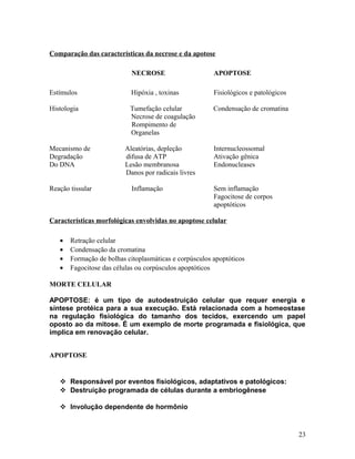Comparação das características da necrose e da apotose
NECROSE APOPTOSE
Estímulos Hipóxia , toxinas Fisiológicos e patológicos
Histologia Tumefação celular Condensação de cromatina
Necrose de coagulação
Rompimento de
Organelas
Mecanismo de Aleatórias, depleção Internucleossomal
Degradação difusa de ATP Ativação gênica
Do DNA Lesão membranosa Endonucleases
Danos por radicais livres
Reação tissular Inflamação Sem inflamação
Fagocitose de corpos
apoptóticos
Características morfológicas envolvidas no apoptose celular
• Retração celular
• Condensação da cromatina
• Formação de bolhas citoplasmáticas e corpúsculos apoptóticos
• Fagocitose das células ou corpúsculos apoptóticos
MORTE CELULAR
APOPTOSE: é um tipo de autodestruição celular que requer energia e
síntese protéica para a sua execução. Está relacionada com a homeostase
na regulação fisiológica do tamanho dos tecidos, exercendo um papel
oposto ao da mitose. É um exemplo de morte programada e fisiológica, que
implica em renovação celular.
APOPTOSE
 Responsável por eventos fisiológicos, adaptativos e patológicos:
 Destruição programada de células durante a embriogênese
 Involução dependente de hormônio
23
 