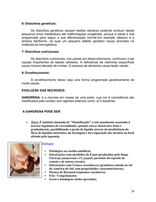 6- Distúrbios genéticos:
Os distúrbios genéticos causam lesões celulares podendo produzir desde
pequenos erros metabólicos até malformações congênitas, porque a célula é mal
programada para seguir a sua diferenciação normal.Um exemplo clássico é a
anemia falciforme, na qual um pequeno defeito genético causa anomalia na
molécula da hemoglobina.
7- Distúrbios nutricionais:
Os distúrbios nutricionais, nos países em desenvolvimento, continuam a ser
causas importantes de lesões celulares. A deficiência de vitaminas específicas
causa número elevado de mortes. O excesso de alimentos causa lesão celular.
8- Envelhecimento:
O envelhecimento talvez seja uma forma programada geneticamente de
morte celular.
EVOLUÇÃO DAS NECROSES:
GANGRENA: é a necrose em massa de uma parte, cuja cor é consistência são
modificados pelo contato com agentes externos como: ar e bactérias.
A GANGRENA PODE SER:
• Seca: É também chamada de "Mumificação" e está usualmente associada à
necrose isquêmica de extremidades, quando esta se desenvolve lenta e
gradualmente, possibilitando a perda de líquido através da insuficiência do
fluxo de líquidos nutrientes, da drenagem e da evaporação dos mesmos no local
afetado pela isquemia.
o Etiologia:
 Fisiológica no cordão umbilical;
 Intoxicações com alcalóides do Ergot (produzidos pelo fungo
Claviceps purpureum e Cl. paspali, parasitos do esporão de
centeio e de outros cereais);
 Intoxicações com Festuca arundinacea (gramínea comum no sul
da América do Sul, com propriedades vasoconstrictoras);
 Doença de Raynaud (espasmos vasculares);
 Frio / Congelamento;
 Gesso e bandagens muito apertadas;
26
 