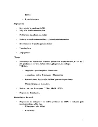 – Fibrose
– Remodelamento
Angiogênese
• Degradação proteolítica da MB
• Migração de células endoteliais
• Proliferação de células endoteliais
• Maturação de células endoteliais e remodelamento em tubos
• Recrutamento de células periendoteliais
• Vasculogênese
• Angiogênese
Fibrose
• Proliferação de fibroblastos induzida por fatores de crescimento, IL-1 e TNF-
alfa produzidas por cels. Inflamatórias, plaquetas, macrófagos
• TGF-beta
– Migração e proliferação de fibroblastos
– Aumento da síntese de colágeno e fibronectina
– Diminuição da degradação da MEC por metaloproteinases
– Quimiotático para monócitos.
• Síntese crescente de colágeno (TGF-b, PDGF e TNF)
• Degradação do colágeno.
Remodelagem Tecidual
• Degradação do colágeno e de outras proteínas da MEC é realizada pelas
metaloproteinases. São elas:
– Colagenases intersticiais
– Gelatinases
31
 