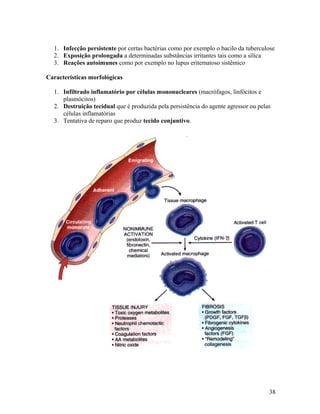 1. Infecção persistente por certas bactérias como por exemplo o bacilo da tuberculose
2. Exposição prolongada a determinadas substâncias irritantes tais como a sílica
3. Reações autoimunes como por exemplo no lupus eritematoso sistêmico
Características morfológicas
1. Infiltrado inflamatório por células mononucleares (macrófagos, linfócitos e
plasmócitos)
2. Destruição tecidual que é produzida pela persistência do agente agressor ou pelas
células inflamatórias
3. Tentativa de reparo que produz tecido conjuntivo.
38
 