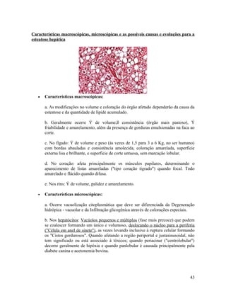 Características macroscópicas, microscópicas e as possíveis causas e evoluções para a
esteatose hepática
• Características macroscópicas:
a. As modificações no volume e coloração do órgão afetado dependerão da causa da
esteatose e da quantidade de lípide acumulado.
b. Geralmente ocorre Ý de volume,ß consistência (órgão mais pastoso), Ý
friabilidade e amarelamento, além da presença de gorduras emulsionadas na faca ao
corte.
c. No fígado: Ý de volume e peso (às vezes de 1,5 para 3 a 6 Kg, no ser humano)
com bordas abauladas e consistência amolecida, coloração amarelada, superfície
externa lisa e brilhante, e superfície de corte untuosa, sem marcação lobular.
d. No coração: afeta principalmente os músculos papilares, determinando o
aparecimento de listas amareladas ("tipo coração tigrado") quando focal. Todo
amarelado e flácido quando difusa.
e. Nos rins: Ý de volume, palidez e amarelamento.
• Características microscópicas:
a. Ocorre vacuolização citoplasmática que deve ser diferenciada da Degeneração
hidrópica - vacuolar e da Infiltração glicogênica através de colorações especiais.
b. Nos hepatócitos: Vacúolos pequenos e múltiplos (fase mais precoce) que podem
se coalescer formando um único e volumoso, deslocando o núcleo para a periferia
("Célula em anel de sinete"), as vezes levando inclusive à ruptura celular formando
os "Cistos gordurosos". Quando afetando a região periportal e justasinusoidal, não
tem significado ou está associado à tóxicos; quando periacinar ("centrolobular")
decorre geralmente de hipóxia e quando panlobular é causada principalmente pela
diabete canina e acetonemia bovina.
43
 
