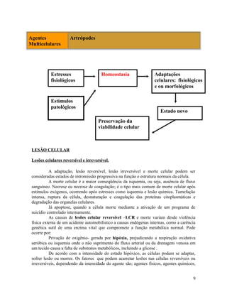 Agentes
Multicelulares
Artrópodes
LESÃO CELULAR
Lesões celulares reversível e irreversível.
A adaptação, lesão reversível, lesão irreversível e morte celular podem ser
consideradas estados de intromissão progressiva na função e estrutura normais da célula.
A morte celular é a maior conseqüência da isquemia, ou seja, ausência de fluxo
sanguíneo. Necrose ou necrose de coagulação; é o tipo mais comum de morte celular após
estímulos exógenos, ocorrendo após estresses como isquemia e lesão química. Tumefação
intensa, ruptura da célula, desnaturação e coagulação das proteínas citoplasmáticas e
degradação das organelas celulares.
Já apoptose, quando a célula morre mediante a ativação de um programa de
suicídio controlado internamente.
As causas de lesões celular reversível –LCR e morte variam desde violência
física externa de um acidente automobilístico a causas endógenas internas, como a carência
genética sutil de uma enzima vital que compromete a função metabólica normal. Pode
ocorre por:
Privação de oxigênio- gerada por hipóxia, prejudicando a respiração oxidativa
aeróbica ou isquemia onde o não suprimento do fluxo arterial ou da drenagem venosa em
um tecido causa a falta de substratos metabólicos, incluindo a glicose .
De acordo com a intensidade do estado hipóxico, as células podem se adaptar,
sofrer lesão ou morrer. Os fatores que podem acarretar lesões nas células reversíveis ou
irreversíveis, dependendo da intensidade do agente são; agentes físicos, agentes químicos,
9
HomeostasiaEstresses
fisiológicos
Estímulos
patológicos
Adaptações
celulares: fisiológicos
e ou morfológicos
Estado novo
Preservação da
viabilidade celular
 