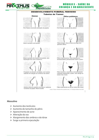 M Ó D U L O 3 - S A Ú D E D A
C R I A N Ç A E D O A D O L E S C E N T E
75 | P á g i n a
Masculino
 Aumento dos testículos
 Aumento do tamanho do pênis
 Aparecimento de acne
 Alteração da voz
 Alargamento dos ombros e do tórax
 Surge a primeira ejaculação
 