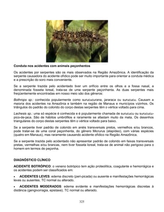 Fig 23.10 – Taturana.


Conduta nos acidentes com animais peçonhentos

Os acidentes por serpentes são os mais observados na Região Amazônica. A identificação da
serpente causadora do acidente ofídico pode ser muito importante para orientar a conduta médica
e a prescrição do soro mais conveniente.
Se a serpente trazida pelo acidentado tiver um orifício entre os olhos e a fossa nasal, a
denominada fosseta loreal, trata-se de uma serpente peçonhenta. As duas serpentes mais
freqüentemente encontradas em nosso meio são dos gêneros:
Bothrops sp.: conhecida popularmente como surucucurana, jararaca ou surucucu. Causam a
maioria dos acidentes na Amazônia e também na região de Manaus e municípios vizinhos. Os
triângulos do padrão do colorido do corpo destas serpentes têm o vértice voltado para cima.
Lachesis sp.: uma só espécie é conhecida e é popularmente chamada de surucucu ou surucucu-
pico-de-jaca. São de hábitos umbrófilos e raramente se afastam muito da mata. Os desenhos
triangulares do corpo destas serpentes têm o vértice voltado para baixo.

Se a serpente tiver padrão de colorido em anéis transversais pretos, vermelhos e/ou brancos,
pode tratar-se de uma coral peçonhenta, do gênero Micrurus (elapídeo), com várias espécies
(quatro em Manaus), mas raramente causando acidente ofídico na Região Amazônica.
Se a serpente trazida pelo acidentado não apresentar padrão de colorido em faixas transversais
pretas, vermelhas e/ou brancas, nem tiver fosseta loreal, trata-se de animal não perigoso para o
homem em termos de peçonha.


DIAGNÓSTICO CLÍNICO
ACIDENTE BOTRÓPICO: o veneno botrópico tem ação proteolítica, coagulante e hemorrágica e
os acidentes podem ser classificados em:
   ACIDENTES LEVES: edema discreto (peri-picada) ou ausente e manifestações hemorrágicas
leves ou ausentes. TC normal ou alterado.
   ACIDENTES MODERADOS: edema evidente e manifestações hemorrágicas discretas à
distância (gengivorragia, epistaxe). TC normal ou alterado.


                                              325
 