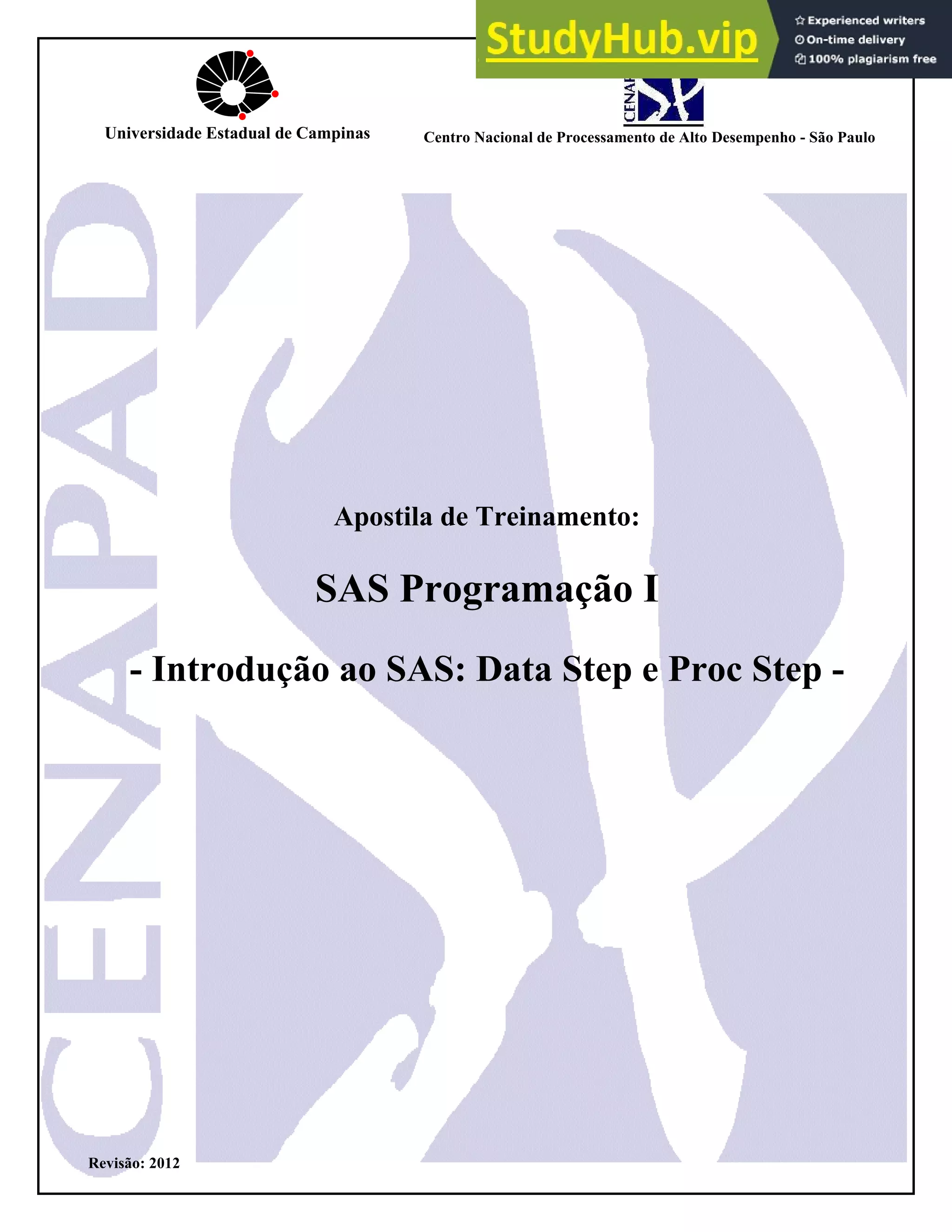 Apostila Sas | PDF
