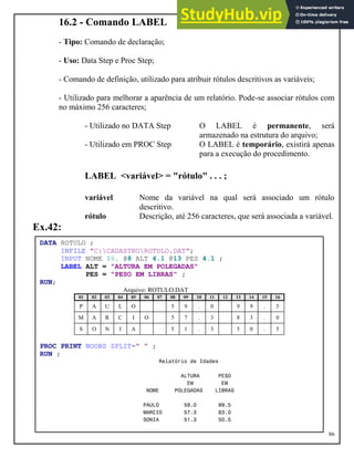 Sas Labels Examples Apostila Sas | PDF