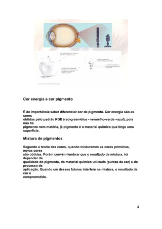 Cor energia e cor pigmento


É de importância saber diferenciar cor de pigmento. Cor energia são as
cores
obtidas pelo padrão RGB (red-green-blue - vermelho-verde –azul), pois
não há
pigmento nem matéria, já pigmento é o material químico que tinge uma
superfície.

Mistura de pigmentos

Segundo a teoria das cores, quando misturamos as cores primárias,
novas cores
são obtidas. Porém convém lembrar que o resultado da mistura, irá
depender da
qualidade do pigmento, do material químico utilizado (pureza da cor) e do
processo de
aplicação. Quando um desses fatores interfere na mistura, o resultado da
cor é
comprometido.




                                                                         3
 