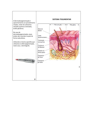 A Dermodespigmentação é 
aparentemente um procedimento 
simples, onde nós utilizamos 
soluções químicas chamadas, 
ácidos glicólicos. 
No caso de 
dermodespigmentação, esses 
ácidos são inseridos na pele de 
forma subcutânea. 
Utilizando o mesmo aparelho que 
utilizamos na Micropigmentação, 
neste caso, o dermógrafo. 
2 
SISTEMA TEGUMENTAR 
3 
 