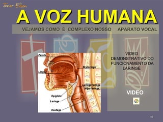 4646
A VOZ HUMANAA VOZ HUMANAVEJAMOS COMO É COMPLEXO NOSSO APARATO VOCALVEJAMOS COMO É COMPLEXO NOSSO APARATO VOCAL
VIDEO
DEMONSTRATIVO DO
FUNCIONAMENTO DA
LARINGE
VIDEO
 