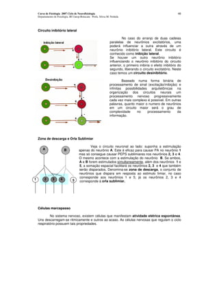 Curso de Fisiologia 2007 Ciclo de Neurofisiologia                                                              46
    Departamento de Fisiologia, IB Unesp-Botucatu Profa. Silvia M. Nishida




    Circuito inibitório lateral

                                                                           No caso do arranjo de duas cadeias
                                                                  paralelas de neurônios excitatórios, uma
                                                                  poderá influenciar a outra através de um
                                                                  neurônio inibitório lateral. Este circuito é
                                                                  conhecido como inibição lateral.
                                                                  Se houver um outro neurônio inibitório
                                                                  influenciando o neurônio inibitório do circuito
                                                                  anterior, o primeiro inibiria o efeito inibitório do
                                                                  segundo, liberando o circuito excitatório. Neste
                                                                  caso temos um circuito desinibitório.

                                                                           Baseado numa forma binária de
                                                                  processamento de sinal (excitação/inibição) e
                                                                  infinitas possibilidades arquitetônicas na
                                                                  organização dos circuitos neurais um
                                                                  processamento nervoso progressivamente
                                                                  cada vez mais complexo é possível. Em outras
                                                                  palavras, quanto maior o numero de neurônios
                                                                  em um circuito maior será o grau de
                                                                  complexidade      no    processamento      da
                                                                  informação.




    Zona de descarga e Orla Sublimiar

                                              Veja o circuito neuronal ao lado: suponha a estimulação
        A                  B           apenas do neurônio A. Este é eficaz para causar PA no neurônio 1
                                       mas só consegue causar PEPS sublimiares nos neurônios 2, 3 e 4.
                                       O mesmo acontece com a estimulação do neurônio B. Se ambos,
                                       A e B forem estimulados simultaneamente, além dos neurônios 1 e
                                       5, a somação espacial facilitará os neurônios 2, 3 e 4 que também
                                       serão disparados. Denomina-se zona de descarga, o conjunto de
                                       neurônios que dispara em resposta ao estimulo limiar, no caso
                                       corresponde aos neurônios 1 e 5; já os neurônios 2, 3 e 4
1        2      3      4          5    corresponde à orla sublimiar.




    Células marcapasso

            No sistema nervoso, existem células que manifestam atividade elétrica espontânea.
    Uns descarregam-se ritmicamente e outros ao acaso. As células nervosas que regulam o ciclo
    respiratório possuem tais propriedades.
 