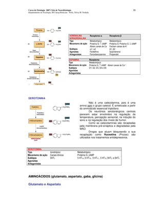 Curso de Fisiologia 2007 Ciclo de Neurofisiologia                                                                                                              50
Departamento de Fisiologia, IB Unesp-Botucatu Profa. Silvia M. Nishida




                                                         !                                                α                              β
                                                                !
                                                                                      )           (                        )     (
                                                                                      !       +       ,↑        ) !        !   +   ,!        +            ,↓   ) !
                                                                                                                           1                          2

                                                                                      α. α/                                β. β/
                                                                                      1                                    $
                                                                                      1   3           4                    !


                                                                                  )     (
                                                                                  !   +   ,↑ ) !                                                 22

                                                                                  #. #/ #- #0 #&




SEROTONINA
                                                                        Não é uma catecolamina, pois é uma
                                                               amina sem o grupo catecol. É sintetizada a partir
                                                               do aminoácido essencial triptofano.
                                                                        Os neurônios serotonérgicos centrais
                                                               parecem estar envolvidos na regulação da
                                                               temperatura, percepção sensorial, na indução do
                                                               sono e na regulação dos níveis de humor.
                                                                        Como as catecolaminas são recaptadas
                                                               pela membrana pré-sináptica e degradadas pela
                                                               MAO.
                                                                        Drogas que atuam bloqueando a sua
                                                               recaptação como fluoxetina (Prozac) são
                                                               utilizados nos tratamentos antidepressivos.




                         $        (                      )               (
                                      *                  !          +         ,           ) !
                         &'   -                          & '    .       & '       .         & '   .       & '    .#   &'    /   &'   0




AMINOÁCIDOS (glutamato, aspartato, gaba, glicina)

Glutamato e Aspartato
 