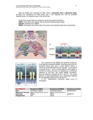 Curso de Fisiologia 2007 Ciclo de Neurofisiologia                                                        51
Departamento de Fisiologia, IB Unesp-Botucatu Profa. Silvia M. Nishida




    Mais da metade dos neurônios do SNC utiliza o Glutamato (Glu) e Aspartato (Asp),
principais NT excitatórios do SNC sendo que o Glu responde por 75% da atividade
despolarizante. Os receptores para o Glu são do tipo:

     O Glu possui quatro tipos de receptores, sendo três deles ionotrópicos:
     AMPA: canal iônico para cátions (Na) produzindo despolarização rápida
     Kainato: parecido com o AMPA
     NMDA: canais para dois cátions (Na e Ca) produzindo despolarização lenta e persistente.




                                                   Os receptores do tipo NMDA são bastante complexos.
                                              O Glu liga-se a receptores NMDA, mas precisa de outro NT
                                              chamado Glicina para abrir o canal. Mesmo aberto, o
                                                                                          ++
                                              interior do canal está obstruído por íons Mg o que impede
                                                                ++
                                              a entrada de Ca . Como o canal AMPA é mais rápido, a
                                              entrada de cations por essa via despolariza a membrana
                                                                      ++
                                              repelindo os íons Mg dos canais NMDA. Finalmente,
                                                                                   +         ++
                                              torna-se possível a entrada de Na e de Ca . Em outras
                                              palavras, a ação despolarizante que o Glutamato depende
                                              de uma despolarização previa e de dois NT.
                                                          ++
                                                   O Ca      desempenha importante papel como 2º
                                              mensageiro.




GLUTAMATO                    Receptores NMDA                         Receptores Ñ-NMDA        Receptores Kainato
Tipo                         ionotrópico (rápido)                    ionotrópico (lento)      Metabotrópico
Mecanismo de ação            Abrem canais de Ca, Na e K              Abrem canais de Na e K   ?
Agonistas                    NMDA                                    AMPA                     KAINATO
Antagonistas                 AP5                                     CNQX                     ?
 