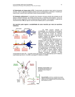 Curso de Fisiologia 2007 Ciclo de Neurofisiologia                                                                     44
Departamento de Fisiologia, IB Unesp-Botucatu Profa. Silvia M. Nishida




4) Potenciação em longo prazo (LTP). A potenciação pós-tetânica decai dentro de poucos
minutos, mas em algumas sinapses centrais (como no hipocampo) o processo é mantido por
longo tempo e parece estar associada à base da aprendizagem e memória.

5) Condução unidirecional. A condução dos impulsos nervosos através das sinapses se dá
apenas unidirecionalmente, dos botões terminais para a membrana pós-sinaptica, nunca em
sentido contrário, garantido o fluxo unidirecional das informações. Uma exceção é a ação de do
neurotransmissor, NO que age do neurônio pós-sináptico para a o pré-sináptico.


Um neurônio pode regular a excitabilidade de outro neurônio por meio de neurônios
inibitórios


                                                          Os PIPS causam redução na
                                                excitabilidade da membrana pós-sinaptica,
                                                pois o potencial de membrana se afasta do
                                                potencial limiar. A função do neurônio
                                                inibitório é justamente tornar o neurônio pós-
                                                sinaptico incapaz de deflagar um PA ou
                                                reduzir a freqüência dos PA.
                                                          Na figura ao lado, observamos que o
                                                neurônio possui dois tipos de sinapses: um
                                                excitatório e outro inibitório. Suponha que
                                                apenas o neurônio excitatório esteja em
                                                atividade (figura de cima). O eletrodo
                                                colocado no dendrito acusa um PEPS e no
                                                soma observamos a propagação eletrotônica
                                                da despolarização. Já na figura de baixo,
                                                entra em ação a sinapse inibitória. Repare
                                                que o soma já não manifesta qualquer
                                                resposta excitatória, indicando a total
incapacidade de gerar PA. A grande maioria dos canais iônicos dependentes de NT inibitórios
                       -
é permeável aos íons Cl . No SNC o principal NT inibitório é o GABA.




 Neurônio                                  Neurônio
Excitatório                                Inibitório

                                                               Dendritos e Corpo Celular: local
                                                               de integração dos potenciais pós
                                                               sinápticos de baixa voltagem e
                                                               graduados




                                                            PEPS         Zona de Gatilho: conforme o resultado da somação
                                                                         algébrica dos potenciais pós-sinapticos haverá ou não
         Zona de                                            PIPS         geração dos PA. A freqüência dos PA será determinada
         Gatilho                                                         pela amplitude do PEPS.
          do PA

                                                            PEPS
 