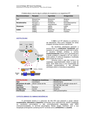 Curso de Fisiologia 2007 Ciclo de Neurofisiologia                                                            49
  Departamento de Fisiologia, IB Unesp-Botucatu Profa. Silvia M. Nishida




                A tabela abaixo resume alguns subtipos de receptores e os respectivos NT:
  Neurotransmissor                    Receptor                   Agonistas                Antagonistas

  Ach                                 Muscarínico                Muscarina                Atropina
                                      Nicotínico                 Nicotina                 Curare
  Noradrenalina                       Receptor α                 Fenilefrina              Fenoxibenzoamina
                                      Receptor β                 Isoproterenol            Propanolol
  Glutamato                           AMPA                       AMPA                     CNQX
                                      NMDA                       NMDA                     AP5
  GABA                                GABAA                      Muscimol                 Bicuculina
                                      GABAB                      Baclofen                 Faclofen



  ACETILCOLINA
                                                                     A Ach é um NT clássico e o primeiro a
                                                              ser descoberto. Atua como mediador de várias
            Acetil           Colina                           sinapses nervosas centrais e periféricas.
            CoA
                                                                       Os neurônios colinérgicos possuem a
                        AC                                    enzima-chave a acetilcolina transferase que
        Transportador                                         transfere um grupo acetil do acetil-CoA à colina.
           de ACh
                                                              O neurônio também sintetiza a enzima
                                                              acetilcolinesterase (AchE) que é secretada para
                                             Transportador    a fenda sináptica e degrada o NT em colina e
                                               de colina
                                                              ácido acético. A colina é recaptada e reutilizada
                                                              para síntese de novos NT.
                                                                       Venenos como o gás dos nervos e os
                                                              inseticidas organofosforados inibem a ação da
                                                              AchE. Esse efeito leva a uma exacerbação da
                                                              atividade parassimpática e da atividade
                                                              colinérgica sobre a musculatura esquelética.
                                       Colina + Acetato
                     AChE

Receptor
   pós-
sinaptico




  ACETILCOLINA                        Receptores nicotínicos               Receptores muscarinicos
  Tipo                                Ionotrópico                          Metabotrópico
                                                                                                              +
  Mecanismo de ação                   Abrem canais de Na                   Via proteína G; abrindo canais de K .
  Subtipos                                                                 M1, M2, M3, M4 e M5
  Agonistas                           Nicotina                             Muscarina
  Antagonistas                        Curare                               Atropina
  Distribuição                        Placa motora; SNC                    SNA parassimpático



  CATECOLAMINAS OU AMINAS BIOGÊNICAS

         O aminoácido tirosina é o precursor de três NTs que possuem o grupo catecol:
  noradrenalina, adrenalina e dopamina conhecidas como catecolaminas. Sofrem recaptação
  na membrana pré-sináptica e são enzimaticamente degradadas pela MAO
  (monoaminooxidades) no terminal pré-sináptico. Muitas drogas interferem com a sua
  recaptação prolongando a presença do NT na fenda como a anfetamina e a cocaína.
 