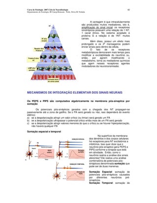 Curso de Fisiologia 2007 Ciclo de Neurofisiologia                                                           42
Departamento de Fisiologia, IB Unesp-Botucatu Profa. Silvia M. Nishida




                                                                          A vantagem é que intracelularmente
                                                                  são produzidos muitos mediadores, isto é,
                                                                  amplificação do sinal inicial: os receptores
                                                                  ionotrópicos possuem uma relação de 1 NT:
                                                                  1 canal iônico. No sistema acoplado à
                                                                  proteína G a relação é de 1NT: muitos
                                                                  canais.
                                                                          Além disso, possui um efeito mais
                                                                  prolongado e os 2º mensageiros podem
                                                                  enviar sinais para dentro da célula.
                                                                          O     fato     de   os     receptores
                                                                  metabotrópicos demorarem mais tempo para
                                                                  modificar a excitabilidade do neurônio ou,
                                                                  então,    por     agirem    modificando     o
                                                                  metabolismo, torna os mediadores químicos
                                                                  que agem nesses receptores agentes
                                                                  moduladores da neurotransmissâo.




MECANISMOS DE INTEGRAÇÃO ELEMENTAR DOS SINAIS NEURAIS

Os PEPS e PIPS são computados algebricamente na membrana pós-sinaptica por
somação

          Os potenciais pós-sinápticos gerados com a chegada dos NT propagam-se
passivamente até a zona de gatilho. Se o PA será gerado ou não, isso dependerá do evento
elétrico:
a) se a despolarização atingir um valor crítico (ou limiar) será gerado um PA
b) se a despolarização ultrapassar o potencial critico então mais de um PA será gerado
c) se a despolarização atingir valores menores do que o crítico ou se houver hiperpolarização,
     não haverá qualquer PA

Somação espacial e temporal
                                                                                   Na superfície da membrana
                                                                         dos dendritos e dos corpos celulares
                                                                         há receptores para NT excitatórios e
                                                                         inibitórios. Isso quer dizer que o
                                                                         neurônio pós-sinaptico gera PEPS e
                                                                         PIPS conforme a sinapse que está
                                                                         em atividade. Então, como o
                                                                         neurônio realiza a análise dos sinais
                                                                         aferentes? Ele realiza uma análise
                                                                         combinatória de potenciais pós-
                                                                         sinápticos denominada somação que
                                                                         pode ser de duas maneiras:

                                                                         Somação Espacial: somação de
                                                                         potenciais pós-sinápticos causados
                                                                         por    diferentes  neurônios   pré-
                                                                         sinapticos.
                                                                         Somação Temporal: somação de
 