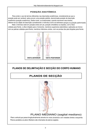 POSIÇÃO ANATÔMICA
Para evitar o uso de termos diferentes nas descrições anatômicas, considerando-se que a
posição pode ser variável, optou-se por uma posição padrão, denominada posição de descrição
anatômica (posição anatômica). Deste modo, os anatomistas, quando escrevem seus textos,
referem-se ao objeto de descrição considerando o indivíduo como se estivesse sempre na posição padronizada.
Nela o indivíduo está em posição ereta (em pé, posição ortostática ou bípede), com a face
voltada para frente, o olhar dirigido para o horizonte, membros superiores estendidos e aplicados ao tronco
com as palmas voltadas para frente, membros inferiores unidos, com as pontas dos pés dirigidas para frente.
PLANOS DE DELIMITAÇÃO E SECÇÃO DO CORPO HUMANO
VISTA ANTERIOR VISTA POSTERIOR
PLANOS DE SECÇÃO
Plano vertical que passa longitudinalmente através do corpo,dividindo-o em metades direita e esquerda.
3
http://laboratoriodeanatomia.blogspot.com
PLANO MEDIANO (sagital mediano)
Planos paralelos ao plano Mediano são chamados de planos sagitais.
 