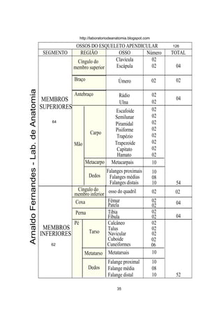 OSSOS DO ESQUELETO APENDICULAR
SEGMENTO REGIÃO OSSO Número TOTAL
Cíngulo do
membro superior
Braço
Antebraço
MEMBROS
SUPERIORES
Mão
Clavícula
Escápula
Úmero
Rádio
Ulna
Escafoide
Semilunar
Piramidal
Pisiforme
Trapézio
Trapezoide
Capitato
Hamato
Metacarpais
Falanges proximais
Falanges médias
Falanges distais
02
02
02
02
02
02
02
02
02
02
02
02
02
10
10
08
10
04
02
04
54
Cíngulo do osso do quadril 02 02
Coxa Fêmur
Patela
02
02 04
Perna Tíbia
Fíbula
02
02 04
Pé Calcâneo
Talus
Navicular
Cuboide
Cuneiformes
Metatarsais
Falange proximal
Falange média
Falange distal
02
02
02
02
06
10
10
08
10 52
ArnaldoFernandes-Lab.deAnatomia
62
64
126
MEMBROS
INFERIORES
http://laboratoriodeanatomia.blogspot.com
Carpo
Metacarpo
Dedos
membro inferior
Tarso
Metatarso
Dedos
35
 