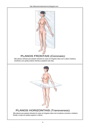 PLANOS FRONTAIS (Coronais):
São planos verticais que passam através do corpo em ângulos retos com o plano mediano,
dividindo-o em partes anterior (frente) e posterior (de trás).
PLANOS HORIZONTAIS (Transversos)
São planos que passam através do corpo em ângulos retos com os planos coronais e mediano.
Divide o corpo em partes superior e inferior.
4
http://laboratoriodeanatomia.blogspot.com
 