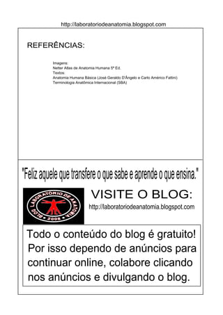 http://laboratoriodeanatomia.blogspot.com
http://laboratoriodeanatomia.blogspot.com
VISITE O BLOG:
"Felizaquelequetransfereoquesabeeaprendeoqueensina."
Todo o conteúdo do blog é gratuito!
Por isso dependo de anúncios para
continuar online, colabore clicando
nos anúncios e divulgando o blog.
REFERÊNCIAS:
Imagens:
Netter Atlas de Anatomia Humana 5ª Ed.
Textos:
Anatomia Humana Básica (José Geraldo D'Ângelo e Carlo Américo Fattini)
Terminologia Anatômica Internacional (SBA)
 