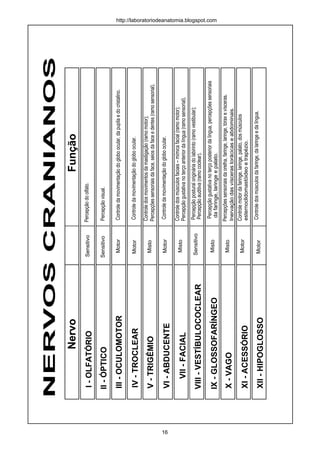 NERVOSCRANIANOS
I-OLFATÓRIO
II-ÓPTICO
III-OCULOMOTOR
IV-TROCLEAR
V-TRIGÊMIO
VI-ABDUCENTE
VII-FACIAL
VIII-VESTÍBULOCOCLEAR
IX-GLOSSOFARÍNGEO
X-VAGO
XI-ACESSÓRIO
XII-HIPOGLOSSO
Misto
Sensitivo
Sensitivo
Motor
Motor
Misto
Misto
Motor
Motor
Motor
Sensitivo
Misto
Percepçãodoolfato.
FunçãoNervo
Percepçãovisual.
Controledamovimentaçãodogloboocular,dapupilaedocristalino.
Controledamovimentaçãodogloboocular.
Controledosmovimentosdamastigação(ramomotor);
Percepçõessensoriaisdaface,seiosdafaceedentes(ramosensorial).
Controledamovimentaçãodogloboocular.
Controledosmúsculosfaciais–mímicafacial(ramomotor);
Percepçãogustativanoterçoanteriordalíngua(ramosensorial).
Percepçãoposturalorigináriadolabirinto(ramovestibular);
Percepçãoauditiva(ramococlear).
Percepçãogustativanoterçoposteriordalíngua,percepçõessensoriais
dafaringe,laringeepalato.
Percepçõessensoriaisdaorelha,faringe,laringe,tóraxevísceras.
Inervaçãodasvíscerastorácicaseabdominais.
Controlemotordafaringe,laringe,palato,dosmúsculos
esternoclidomastóideoetrapézio.
Controledosmúsculosdafaringe,dalaringeedalíngua.
http://laboratoriodeanatomia.blogspot.com
16
 