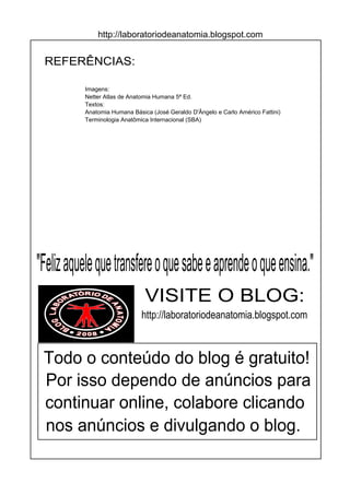 http://laboratoriodeanatomia.blogspot.com
http://laboratoriodeanatomia.blogspot.com
VISITE O BLOG:
"Felizaquelequetransfereoquesabeeaprendeoqueensina."
Todo o conteúdo do blog é gratuito!
Por isso dependo de anúncios para
continuar online, colabore clicando
nos anúncios e divulgando o blog.
REFERÊNCIAS:
Imagens:
Netter Atlas de Anatomia Humana 5ª Ed.
Textos:
Anatomia Humana Básica (José Geraldo D'Ângelo e Carlo Américo Fattini)
Terminologia Anatômica Internacional (SBA)
 