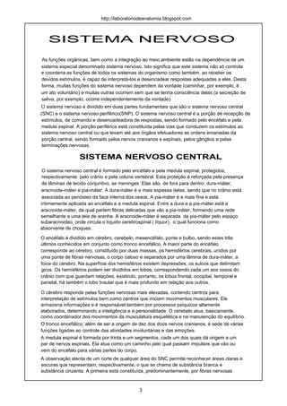 SISTEMA NERVOSO
As funções orgânicas, bem como a integração ao meio ambiente estão na dependência de um
sistema especial denominado sistema nervoso. Isto significa que este sistema não só controla
e coordena as funções de todos os sistemas do organismo como também, ao receber os
devidos estímulos, é capaz de interpretá-los e desencadear respostas adequadas a eles. Desta
forma, muitas funções do sistema nervoso dependem da vontade (caminhar, por exemplo, é
um ato voluntário) e muitas outras ocorrem sem que se tenha consciência delas (a secreção de
saliva, por exemplo, ocorre independentemente da vontade).
O sistema nervoso é dividido em duas partes fundamentais que são o sistema nervoso central
(SNC) e o sistema nervoso periférico(SNP). O sistema nervoso central é a porção de recepção de
estímulos, de comando e desencadeadora de respostas, sendo formado pelo encéfalo e pela
medula espinal. A porção periférica está constituída pelas vias que conduzem os estímulos ao
sistema nervoso central ou que levam até aos órgãos efetuadores as ordens emanadas da
porção central, sendo formado pelos nervos cranianos e espinais, pelos gânglios e pelas
terminações nervosas.
SISTEMA NERVOSO CENTRAL
O sistema nervoso central é formado pelo encéfalo e pela medula espinal, protegidos,
respectivamente. pelo crânio e pela coluna vertebral. Esta proteção é reforçada pela presença
de lâminas de tecido conjuntivo, as meninges. Elas são, de fora para dentro: dura-máter,
aracnoide-máter e pia-máter. A dura-máter é a mais espessa delas, sendo que no crânio está
associada ao periósteo da face interna dos ossos. A pia-máter é a mais fina e está
intimamente aplicada ao encéfalo e a medula espinal. Entre a dura e a pia-máter está a
aracnoide-máter, da qual partem fibras delicadas que vão a pia-máter, formando uma rede
semelhante a uma teia de aranha. A aracnoide-máter é separada da pia-máter pelo espaço
subaracnoideo, onde circula o líquido cerebrospinal ( líquor), o qual funciona como
absorvente de choques.
O encéfalo é dividido em cérebro, cerebelo, mesencéfalo, ponte e bulbo, sendo estes três
últimos conhecidos em conjunto como tronco encefálico. A maior parte do encéfalo
corresponde ao cérebro, constituído por duas massas, os hemisférios cerebrais, unidos por
uma ponte de fibras nervosas, o corpo caloso e separados por uma lâmina de dura-máter, a
foice do cérebro. Na superfície dos hemisférios existem depressões, os sulcos que delimitam
giros. Os hemisférios podem ser divididos em lobos, correspondendo cada um aos ossos do
crânio com que guardam relações, existindo, portanto, os lobos frontal, occipital, temporal e
parietal, há também o lobo Insular que é mais profundo em relação aos outros.
interpretação de estímulos bem como centros que iniciam movimentos musculares. Ele
armazena informações e é responsável também por processos psíquicos altamente
elaborados, determinando a inteligência e a personalidade. O cerebelo atua, basicamente,
como coordenador dos movimentos da musculatura esquelética e na manutenção do equilíbrio.
O tronco encefálico, além de ser a origem de dez dos doze nervos cranianos, é sede de várias
funções ligadas ao controle das atividades involuntárias e das emoções.
A medula espinal é formada por trinta e um segmentos, cada um dos quais dá origem a um
par de nervos espinais. Ela atua como um caminho pelo qual passam impulsos que vão ou
vem do encéfalo para várias partes do corpo.
A observação atenta de um corte de qualquer área do SNC permite reconhecer áreas claras e
escuras que representam, respectivamente, o que se chama de substância branca e
substância cinzenta. A primeira está constituída, predominantemente, por fibras nervosas
http://laboratoriodeanatomia.blogspot.com
O cérebro responde pelas funções nervosas mais elevadas, contendo centros para
3
 