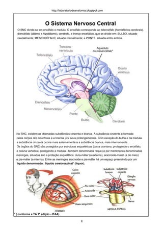 O Sistema Nervoso Central
O SNC divide-se em encéfalo e medula. O encéfalo corresponde ao telencéfalo (hemisférios cerebrais),
diencéfalo (tálamo e hipotálamo), cerebelo, e tronco encefálico, que se divide em: BULBO, situado
caudalmente; MESENCÉFALO, situado cranialmente; e PONTE, situada entre ambos.
No SNC, existem as chamadas substâncias cinzenta e branca. A substância cinzenta é formada
pelos corpos dos neurônios e a branca, por seus prolongamentos. Com exceção do bulbo e da medula,
a substância cinzenta ocorre mais externamente e a substância branca, mais internamente.
Os órgãos do SNC são protegidos por estruturas esqueléticas (caixa craniana, protegendo o encéfalo;
e coluna vertebral, protegendo a medula - também denominada raque) e por membranas denominadas
meninges, situadas sob a proteção esquelética: dura-máter (a externa), aracnoide-máter (a do meio)
e pia-máter (a interna). Entre as meninges aracnoide e pia-máter há um espaço preenchido por um
líquido denominado : líquido cerebrospinal* (líquor).
http://laboratoriodeanatomia.blogspot.com
* ( conforme a TA 1ª edição - IFAA)
Aqueduto
do mesencéfalo*
6
 