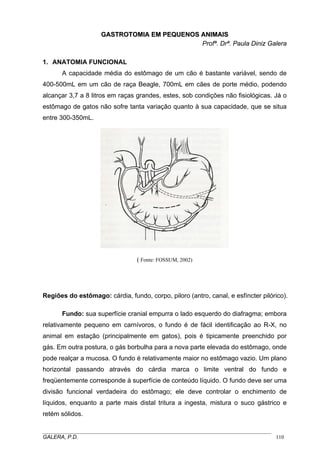GGAASSTTRROOTTOOMMIIAA EEMM PPEEQQUUEENNOOSS AANNIIMMAAIISS
Profª. Drª. Paula Diniz Galera
1. ANATOMIA FUNCIONAL
A capacidade média do estômago de um cão é bastante variável, sendo de
400-500mL em um cão de raça Beagle, 700mL em cães de porte médio, podendo
alcançar 3,7 a 8 litros em raças grandes, estes, sob condições não fisiológicas. Já o
estômago de gatos não sofre tanta variação quanto à sua capacidade, que se situa
entre 300-350mL.
( Fonte: FOSSUM, 2002)
Regiões do estômago: cárdia, fundo, corpo, piloro (antro, canal, e esfíncter pilórico).
Fundo: sua superfície cranial empurra o lado esquerdo do diafragma; embora
relativamente pequeno em carnívoros, o fundo é de fácil identificação ao R-X, no
animal em estação (principalmente em gatos), pois é tipicamente preenchido por
gás. Em outra postura, o gás borbulha para a nova parte elevada do estômago, onde
pode realçar a mucosa. O fundo é relativamente maior no estômago vazio. Um plano
horizontal passando através do cárdia marca o limite ventral do fundo e
freqüentemente corresponde à superfície de conteúdo líquido. O fundo deve ser uma
divisão funcional verdadeira do estômago; ele deve controlar o enchimento de
líquidos, enquanto a parte mais distal tritura a ingesta, mistura o suco gástrico e
retém sólidos.
_____________________________________________________________________________________
GALERA, P.D. 110
 