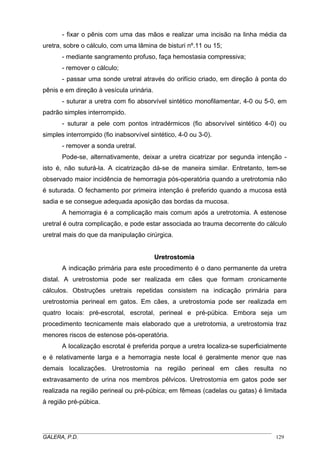 - fixar o pênis com uma das mãos e realizar uma incisão na linha média da
uretra, sobre o cálculo, com uma lâmina de bisturi nº.11 ou 15;
- mediante sangramento profuso, faça hemostasia compressiva;
- remover o cálculo;
- passar uma sonde uretral através do orifício criado, em direção à ponta do
pênis e em direção à vesícula urinária.
- suturar a uretra com fio absorvível sintético monofilamentar, 4-0 ou 5-0, em
padrão simples interrompido.
- suturar a pele com pontos intradérmicos (fio absorvível sintético 4-0) ou
simples interrompido (fio inabsorvível sintético, 4-0 ou 3-0).
- remover a sonda uretral.
Pode-se, alternativamente, deixar a uretra cicatrizar por segunda intenção -
isto é, não suturá-la. A cicatrização dá-se de maneira similar. Entretanto, tem-se
observado maior incidência de hemorragia pós-operatória quando a uretrotomia não
é suturada. O fechamento por primeira intenção é preferido quando a mucosa está
sadia e se consegue adequada aposição das bordas da mucosa.
A hemorragia é a complicação mais comum após a uretrotomia. A estenose
uretral é outra complicação, e pode estar associada ao trauma decorrente do cálculo
uretral mais do que da manipulação cirúrgica.
UUrreettrroossttoommiiaa
A indicação primária para este procedimento é o dano permanente da uretra
distal. A uretrostomia pode ser realizada em cães que formam cronicamente
cálculos. Obstruções uretrais repetidas consistem na indicação primária para
uretrostomia perineal em gatos. Em cães, a uretrostomia pode ser realizada em
quatro locais: pré-escrotal, escrotal, perineal e pré-púbica. Embora seja um
procedimento tecnicamente mais elaborado que a uretrotomia, a uretrostomia traz
menores riscos de estenose pós-operatória.
A localização escrotal é preferida porque a uretra localiza-se superficialmente
e é relativamente larga e a hemorragia neste local é geralmente menor que nas
demais localizações. Uretrostomia na região perineal em cães resulta no
extravasamento de urina nos membros pélvicos. Uretrostomia em gatos pode ser
realizada na região perineal ou pré-púbica; em fêmeas (cadelas ou gatas) é limitada
à região pré-púbica.
_____________________________________________________________________________________
GALERA, P.D. 129
 