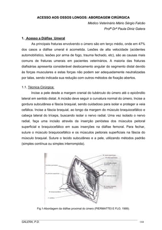 AACCEESSSSOO AAOOSS OOSSSSOOSS LLOONNGGOOSS:: AABBOORRDDAAGGEEMM CCIIRRÚÚRRGGIICCAA
Médico Veterinário Mário Sérgio Falcão
Profª Drª Paula Diniz Galera
1. Acesso a Diáfise Umeral
As principais fraturas envolvendo o úmero são em terço médio, onde em 47%
dos casos a diáfise umeral é acometida. Lesões de alta velocidade (acidentes
automobilístico, lesões por arma de fogo, trauma fechado, etc), são as causas mais
comuns de fraturas umerais em pacientes veterinários. A maioria das fraturas
diafisárias apresenta considerável deslocamento angular do segmento distal devido
às forças musculares e estas forças não podem ser adequadamente neutralizadas
por talas, sendo indicada sua redução com outros métodos de fixação abertos.
1.1. Técnica Cirúrgica:
Incise a pele desde a margem cranial do tubérculo do úmero até o epicôndilo
lateral em sentido distal. A incisão deve seguir a curvatura normal do úmero. Incise a
gordura subcutânea e fáscia braquial, sendo cuidadoso para isolar e proteger a veia
cefálica. Incise a fáscia braquial, ao longo da margem do músculo braquiocefálico e
cabeça lateral do tríceps, buscando isolar o nervo radial. Uma vez isolado o nervo
radial, faça uma incisão através da inserção perióstea dos músculos peitoral
superficial e braquiocefálico em suas inserções na diáfise femoral. Para fechar,
suture o músculo braquiocefálico e os músculos peitorais superficiais na fáscia do
músculo braquial. Suture o tecido subcutâneo e a pele, utilizando métodos padrão
(simples contínua ou simples interrompida).
Fig.1-Abordagem da diáfise proximal do úmero (PIERMATTEI E FLO, 1999).
_____________________________________________________________________________________
GALERA, P.D. 144
 