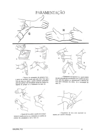 _____________________________________________________________________________________
GALERA, P.D. 83
 