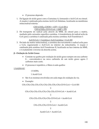 

O processo depende:

1. Da ligação do ácido graxo com a Coenzima A, formando o Acil-CoA no citosol.
A reação é catalizada pela enzima Acil-CoA Sintetase, localizada na membrana
mitocondrial externa:
CH3-(CH2)n-COOH + ATP + CoA-SH é
CH3-(CH2)n-CO-S-CoA + AMP + PPi
2. Do transporte do radical acila através da MMI, do citosol para a matriz,
mediado pelo carreador específico carnitina. A transferência do radical acila da
CoA para a carnitina é catalizada pela enzima carnitina-Acil-Transferase I:
Acil-S-CoA + Carnitina é Acil-Carnitina + CoA-SH
3. Do lado da matriz mitocondrial, a carnitina doa novamente o radical acila para
a CoA, regenerando o Acil-CoA no interior da mitocôndria. A reação é
catalisada pela arnitina-Acil-Transferase II, localizada na face interna da MMI,
e é exatamente o inverso da descrita acima.
 - Oxidação do Ácido Graxo:


Consiste na quebra por oxidação do ácido graxo sempre em seu carbono
b , convertendo-o na nova carbonila de um ácido graxo agora 2
carbonos mais curto.



O processo é repetitivo, e libera à cada quebra:

1 NADH+H+
1 FADH2
1 Acetil CoA


São 4 as enzimas envolvidas em cada etapa de oxidação da via.



Exemplo:

CH3-CH2-CH2-CH2-CH2-CH2-CH2-CH2-CH2-CO-S-CoA + CoA-SH

CH3-CH2-CH2-CH2-CH2-CH2-CH2-CO-S-CoA + Acetil-CoA

CH3-CH2-CH2-CH2-CH2-CO-S-CoA + Acetil-CoA

CH3-CH2-CH2-CO-S-CoA + Acetil-CoA

Acetil-CoA + Acetil-CoA

100

 