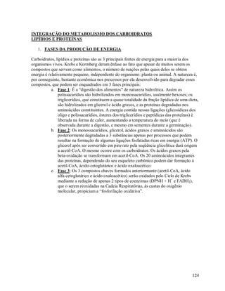 INTEGRAÇÃO DO METABOLISMO DOS CARBOIDRATOS
LIPÍDIOS E PROTEÍNAS
1. FASES DA PRODUÇÃO DE ENERGIA
Carboidratos, lipídios e proteínas são as 3 principais fontes de energia para a maioria dos
organismos vivos. Krebs e Kormberg deram ênfase ao fato que apesar de muitos serem os
compostos que servem como alimentos, o número de reações pelas quais deles se obtem
energia é relativamente pequeno, independente do organismo: planta ou animal. A natureza é,
por conseguinte, bastante econômica nos processos por ela desenvolvido para degradar esses
compostos, que podem ser enquadrados em 3 fases principais:
a. Fase 1: É a “digestão dos alimentos” de natureza hidrolítica. Assim os
polissacarídios são hidrolizados em monossacarídios, usulmente hexoses; os
triglicerídios, que constituem a quase totalidade da fração lipídica de uma dieta,
são hidrolizados em glicerol e ácido graxos, e as proteínas degradadas nos
aminoácidos constituintes. A energia contida nessas ligações (glicosídicas dos
oligo e polissacarídios, ésteres dos triglicerídios e peptídicas das proteínas) é
liberada na forma de calor, aumentando a temperatura do meio (que é
observada durante a digestão, e mesmo em sementes durante a germinação).
b. Fase 2: Os monossacarídios, glicerol, ácidos graxos e aminoácidos são
posteriormente degradadas a 3 substâncias apenas por processos que podem
resultar na formação de algumas ligações fosfatadas ricas em energia (ATP). O
glicerol após ser convertido em piruvato pela seqüência glicolítica dará origem
a acetil-CoA. O mesmo ocorre com os carboidratos. Os ácidos graxos pela
beta-oxidação se transformam em acetil-CoA. Os 20 aminoácidos integrantes
das proteínas, dependendo do seu esqueleto carbônico podem dar formação á
acetil-CoA, ácido-cetoglutárico e ácido oxaloacético.
c. Fase 3: Os 3 compostos chaves formados anteriormante (acetil-CoA, ácido
alfa-cetoglutárico e ácido oxaloacético) serão oxidados pelo Ciclo de Krebs
mediante a redução de apenas 2 tipos de coenzimas (DPNH + H+ e FADH2),
que o serem reoxidadas na Cadeia Respiratórias, ás custas do oxigênio
molecular, propiciam a “fosforilação oxidativa”.

124

 