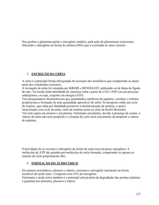 Nas guelras a glutamina perde o nitrogênio amídico, pela ação da glutaminase aí presente,
liberando o nitrogênio na forma de amônia (NH3) que é excretada no meio exterior.

3. EXCREÇÃO DA URÉIA
A uréia é a principal forma nitrogenada de excreção dos ureotélicos que compreende as maior
parte dos vertebrados terrestres.
A formação da uréia foi estudada por KREBS e HENSELEIT, utilizando-se de fatias de fígado
de rato. Tal tecido tinha habilidade de sintetizar uréia a partir de CO2 e NH3 em um processo
endergônico, ou seja, exigente em energia (ATP).
Tais pesquisadores demonstravam que quantidades catalíticas de arginina, citrulina e ornitina,
propiciavam a formação de uma quantidade apreciável de uréia. Foi proposto então um ciclo
de reações, que tinha por finalidade promover a desintoxicação da amônia, o qual é
mencionado com ciclo da uréia, ciclo da ornitina-ureia ou ciclo de Krebs-Henseleit.
Tal ciclo opera em animais e em plantas. Entretanto em plantas, devido á presença da uréase, a
síntese da uréia não teria propósito e a função do ciclo seria unicamente de propiciar a síntese
de arginina.

O previlégio de se excretar o nitrogênio na forma de uréia tem um preço energético: 4
moléculas de ATP são grandes por moléculas de uréia formada, computando-se apenas as
reações do ciclo propriamente dito.
4. FORMAÇÃO DO ÁCIDO ÚRICO
Os animais uricotélicos, pássaros e répteis, excretam o nitrogênio mormente na forma
insolúvel de ácido úrico. Composto com 33% de nitrogênio.
Entretanto o ácido úrico também é o principal sub-produto da degradação das purinas (adenina
e guanina) nos primatas, pássaros e répteis.

127

 