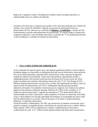 Depois de 5 segundos o ácido 3-fosfoglicérico retinha a maior atividade especifica e a
radioatividade estava no carbono da carboxila.

Acredita-se de início que o composto que recebia o CO2 seria uma molécula com 2 átomos de
carbono, mas a busca foi infrutífera. Segundo uma técnica de interrupção brusca no
fornecimento de CO2, observou-se o acúmulo de Ribulose –1,5-difosfato, o aceptor de CO2.
Posteriormente a enzima carboxidismutase foi identificada. Ao mesmo tempo os estudos dos
compostos radioativos, suas atividades específicas e a posição do 14C na molécula permitiram
a calvin estabelecer o caminho do carbono na fotossíntese.

6. VIA C-4 DOS ÁCIDOS DICARBOXÍLICOS
Já era conhecido, há mais de quinze anos, que algumas gramíneas tropicais e outras espécies
de plantas adaptas ao clima árido se distinguiam pela alta taxa de fotossíntese, baixa perda de
CO2 na luz (fotorrespiração), anatomia foliar característica e baixo consumo de água por
unidade de matéria seca produzida. Todas estas características, identificadas isolada e
independentemente, têm conexão como processo de fixação do CO 2 que ocorre em vários
grupos de plantas que realizam a fotossíntese através do ciclo “C-4”. Esta fixação do CO2,
diferente daquela proposta pelo ciclo de calvin, já tinha sido identificada em milho e cana–deaçúcar através de experimentos com14CO2 e subseqüente identificação dos produtos
radioativos formados. Os resultados mostravam que um composto com 4 átomos de carbono
aparecia como primeira substância marcada, diferente do 3-PGA como as plantas “C-3”.
Folhas de cana-de-açúcar após 1 segundo de exposição ao 14CO2 apresentavam 80% da
radioatividade nos ácidos oxaloacético, málico aspártico. O mesmo era observado com milho,
sorgo e outras plantas com elevada capacidade fotossintética ou de produção de massa verde.
Em tais plantas observa-se um alto valor de Km para o CO2 frente á carboxi-dismutase
(Ribulose-1,5-difosfato carboxilase).
Foram Kortschak e colaboradores, em 1965, que mostravam, de maneira convincente, que o
primeiro composto acumulado durante a fotossíntese de cana-de-açúcar era o malato. Hatch e
Slack, durante 1966 a 1970, completaram os estudos e estabeleceram as bases para o
conhecimento do ciclo “C-4”, embora muitas adições tenham sido feitas mais recentemente.

132

 