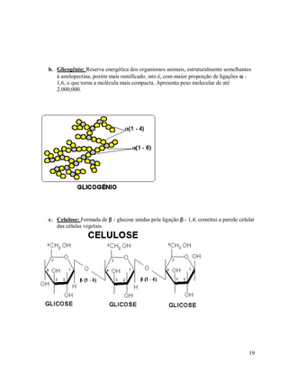 b. Glicogênio: Reserva energética dos organismos animais, estruturalmente semelhantes
à amilopectina, porém mais ramificado, isto é, com maior proporção de ligações  1,6, o que torna a molécula mais compacta. Apresenta peso molecular de até
2.000,000.

c. Celulose: Formada de  - glucose unidas pela ligação  - 1,4; constitui a parede celular
das células vegetais.

19

 