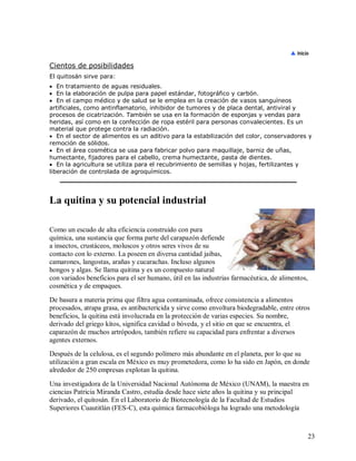 Cientos de posibilidades
El quitosán sirve para:
 En tratamiento de aguas residuales.
 En la elaboración de pulpa para papel estándar, fotográfico y carbón.
 En el campo médico y de salud se le emplea en la creación de vasos sanguíneos
artificiales, como antinflamatorio, inhibidor de tumores y de placa dental, antiviral y
procesos de cicatrización. También se usa en la formación de esponjas y vendas para
heridas, así como en la confección de ropa estéril para personas convalecientes. Es un
material que protege contra la radiación.
 En el sector de alimentos es un aditivo para la estabilización del color, conservadores y
remoción de sólidos.
 En el área cosmética se usa para fabricar polvo para maquillaje, barniz de uñas,
humectante, fijadores para el cabello, crema humectante, pasta de dientes.
 En la agricultura se utiliza para el recubrimiento de semillas y hojas, fertilizantes y
liberación de controlada de agroquímicos.

La quitina y su potencial industrial
Como un escudo de alta eficiencia construido con pura
química, una sustancia que forma parte del carapazón defiende
a insectos, crustáceos, moluscos y otros seres vivos de su
contacto con lo externo. La poseen en diversa cantidad jaibas,
camarones, langostas, arañas y cucarachas. Incluso algunos
hongos y algas. Se llama quitina y es un compuesto natural
con variados beneficios para el ser humano, útil en las industrias farmacéutica, de alimentos,
cosmética y de empaques.
De basura a materia prima que filtra agua contaminada, ofrece consistencia a alimentos
procesados, atrapa grasa, es antibactericida y sirve como envoltura biodegradable, entre otros
beneficios, la quitina está involucrada en la protección de varias especies. Su nombre,
derivado del griego kítos, significa cavidad o bóveda, y el sitio en que se encuentra, el
caparazón de muchos artrópodos, también refiere su capacidad para enfrentar a diversos
agentes externos.
Después de la celulosa, es el segundo polímero más abundante en el planeta, por lo que su
utilización a gran escala en México es muy prometedora, como lo ha sido en Japón, en donde
alrededor de 250 empresas explotan la quitina.
Una investigadora de la Universidad Nacional Autónoma de México (UNAM), la maestra en
ciencias Patricia Miranda Castro, estudia desde hace siete años la quitina y su principal
derivado, el quitosán. En el Laboratorio de Biotecnología de la Facultad de Estudios
Superiores Cuautitlán (FES-C), esta química farmacobióloga ha logrado una metodología

23

 