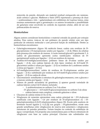 removida da parede, deixando um material residual enriquecido em ramnose,
ácido urônico e glucose. Matheson e Saini (1977) reportaram a presença de duas
-galactosidases em cotilêdones de Lupinus luteus, estas
enzimas aumentaram após a germinação e os autores levantaram a possibilidade
do galactano estar envolvido no controle da expansão celular, além de ser um
polissacarídeo de reserva.

Hemicelulose
Alguns autores consideram hemicelulose o material extraído da parede por extração
alcalina. Para outros, trata-se de um polímero da parede celular com um tipo
particular de estrutura molecular e com provável função de mobilidade. Dentre as
hemiceluloses encontramos:












Galactoglucomananos: (figura 18) molécula linear, cadeia cam resíduos de Dglucopiranose e D-4). Difere da celulose
pela presença dos resíduos de manose. A razão manosil:glucosil é geralmente 3. A
cadeia de glucomanano apresenta curtas ramificações: resíduos de D-6) aos resíduos de manose.
Arabino-4-O-metilglucuronoxilano: polímero linear de D-xilose unidos por
-4), com cadeias laterais de dois tipos: resíduos de 4-O-metil Dglucurônico unidos à xilose po
-2) ou resíduos de L-arabinose unidos
-3) ().
4-O-metilglucuronoxilano: cadeia de resíduos de D-xilopiranose unidos por
-4) e substituído por resíduos de 4-O-metil-D-glucurônico unidos por
ligação
-2) na cadeia de xilose.
Glucomananos: semelhantes à estrutura de galactoglucomananos, com a glucose e
-4).
Xilanos de parede secundária de gramíneas, () aparece grande variedade de
cadeias laterais curtas1-4) D-xilano), incluindo:
 L-arabinofuranose no carbono 2 ou 3 da xilose
- D -glucosano e
-O-metil-D-glucuronopiranose no carbono 2 da xilose
 cadeias laterais mais complexa, contendo galactose e xilose
Glucanos de cadeias mistas (1-3) e (1-4),
-D-1,4-glucano
-1,6 por resíduos de D-Dgalactopiranosídeos-(1,2)-D-xilopiranosídeos (figura 22). Exceto pela ausência de
terminais fucosil
-L-D-galactosídeos, existe uma
grande semelhança entre xiloglucanos de reserva (em sementes) e xiloglucanos
estruturais de paredes primárias. Teriam funções no controle da embebição de
água e xeroproteção. Foi proposta uma nomenclatura para os blocos estruturais de
xiloglucano com base na cadeia principal. Glucoses não substituídas são

29

 