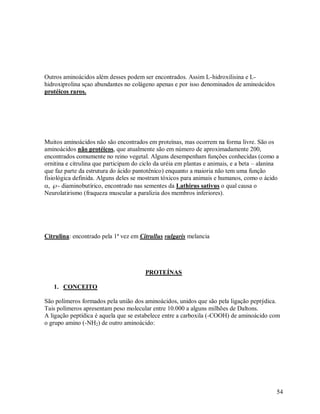 Outros aminoácidos além desses podem ser encontrados. Assim L-hidroxilisina e Lhidroxiprolina sçao abundantes no colágeno apenas e por isso denominados de aminoácidos
protéicos raros.

Muitos aminoácidos não são encontrados em proteínas, mas ocorrem na forma livre. São os
aminoácidos não protéicos, que atualmente são em número de aproximadamente 200,
encontrados comumente no reino vegetal. Alguns desempenham funções conhecidas (como a
ornitina e citrulina que participam do ciclo da uréia em plantas e animais, e a beta – alanina
que faz parte da estrutura do ácido pantotênico) enquanto a maioria não tem uma função
fisiológica definida. Alguns deles se mostram tóxicos para animais e humanos, como o ácido
, - diaminobutírico, encontrado nas sementes da Lathirus sativus o qual causa o
Neurolatirismo (fraqueza muscular a paralizia dos membros inferiores).

Citrulina: encontrado pela 1ª vez em Citrullus vulgaris melancia

PROTEÍNAS
1. CONCEITO
São polímeros formados pela união dos aminoácidos, unidos que são pela ligação peptýdica.
Tais polímeros apresentam peso molecular entre 10.000 a alguns milhões de Daltons.
A ligação peptídica é aquela que se estabelece entre a carboxila (-COOH) de aminoácido com
o grupo amino (-NH2) de outro aminoácido:

54

 