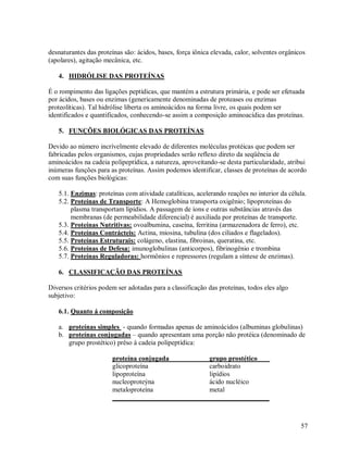 desnaturantes das proteínas são: ácidos, bases, força iônica elevada, calor, solventes orgânicos
(apolares), agitação mecânica, etc.
4. HIDRÓLISE DAS PROTEÍNAS
É o rompimento das ligações peptídicas, que mantém a estrutura primária, e pode ser efetuada
por ácidos, bases ou enzimas (genericamente denominadas de proteases ou enzimas
proteolíticas). Tal hidrólise liberta os aminoácidos na forma livre, os quais podem ser
identificados e quantificados, conhecendo-se assim a composição aminoacídica das proteínas.
5. FUNÇÕES BIOLÓGICAS DAS PROTEÍNAS
Devido ao número incrívelmente elevado de diferentes moléculas protéicas que podem ser
fabricadas pelos organismos, cujas propriedades serão reflexo direto da seqüência de
aminoácidos na cadeia polipeptídica, a natureza, aproveitando-se desta particularidade, atribui
inúmeras funções para as proteínas. Assim podemos identificar, classes de proteínas de acordo
com suas funções biológicas:
5.1. Enzimas: proteínas com atividade catalíticas, acelerando reações no interior da célula.
5.2. Proteínas de Transporte: A Hemoglobina transporta oxigênio; lipoproteínas do
plasma transportam lipídios. A passagem de íons e outras substâncias através das
membranas (de permeabilidade diferencial) é auxiliada por proteínas de transporte.
5.3. Proteínas Nutritivas: ovoalbumina, caseína, ferritina (armazenadora de ferro), etc.
5.4. Proteínas Contrácteis: Actina, miosina, tubulina (dos ciliados e flagelados).
5.5. Proteínas Estruturais: colágeno, elastina, fibroinas, queratina, etc.
5.6. Proteínas de Defesa: imunoglobulinas (anticorpos), fibrinogênio e trombina
5.7. Proteínas Reguladoras: hormônios e repressores (regulam a síntese de enzimas).
6. CLASSIFICAÇÃO DAS PROTEÍNAS
Diversos critérios podem ser adotadas para a classificação das proteínas, todos eles algo
subjetivo:
6.1. Quanto á composição
a. proteínas simples - quando formadas apenas de aminoácidos (albuminas globulinas)
b. proteínas conjugadas – quando apresentam uma porção não protéica (denominado de
grupo prostético) prêso á cadeia polipeptídica:
proteína conjugada
grupo prostético
glicoproteína
carboidrato
lipoproteína
lipídios
nucleoproteýna
ácido nucléico
metaloproteína
metal
______________________________________________

57

 