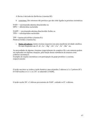 A flavina é derivada da riboflavina (vitamina B2)
b. coenzimas: São estruturas não protéicas que não estão ligadas ás proteínas enzimáticas.
NAD+ = nicotinamida-adenina-dinucleotídio ou
DPN+ = difosforidina nucleotídio
NADP+ = nicotinamida-adenina-dinucleotídio fosfato ou
TPN+ = trifosfopiridina nucleotídio
TPP = tiamina pirosfofato (vitamina B1)
Piridoxal fosfato (vitamina B6)
c. Iônios ativadores: muitas enzimas requerem ions para manifestar atividade catalítica.
Os mais freqüentes são Cl-, K+, Ca++, Mg++, Zn++, Cu++, Fé++, Mn++ etc.
As necessidades de algumas vitaminas (especialmente do complexo B) e sais minerais podem
ser explicadas em algumas situações, pela função dessas substâncias de atuarem como
cofatores enzimáticos.
Exemplos de reações enzimáticas com participação de grupo prostético e coezima,
respectivamente:

O ácido succínico se oxidou a ácido fumárico; para tal perdeu 2 elétrons (e -) e 2 prótons (H+).
O FAD recebeu os 2 e- e os 2 H+ se reduzindo a FADH2.

O ácido recebe 2H+ e 2 elétrons provenientes do NAD+, cedendo os H+ e elétrons.

67

 